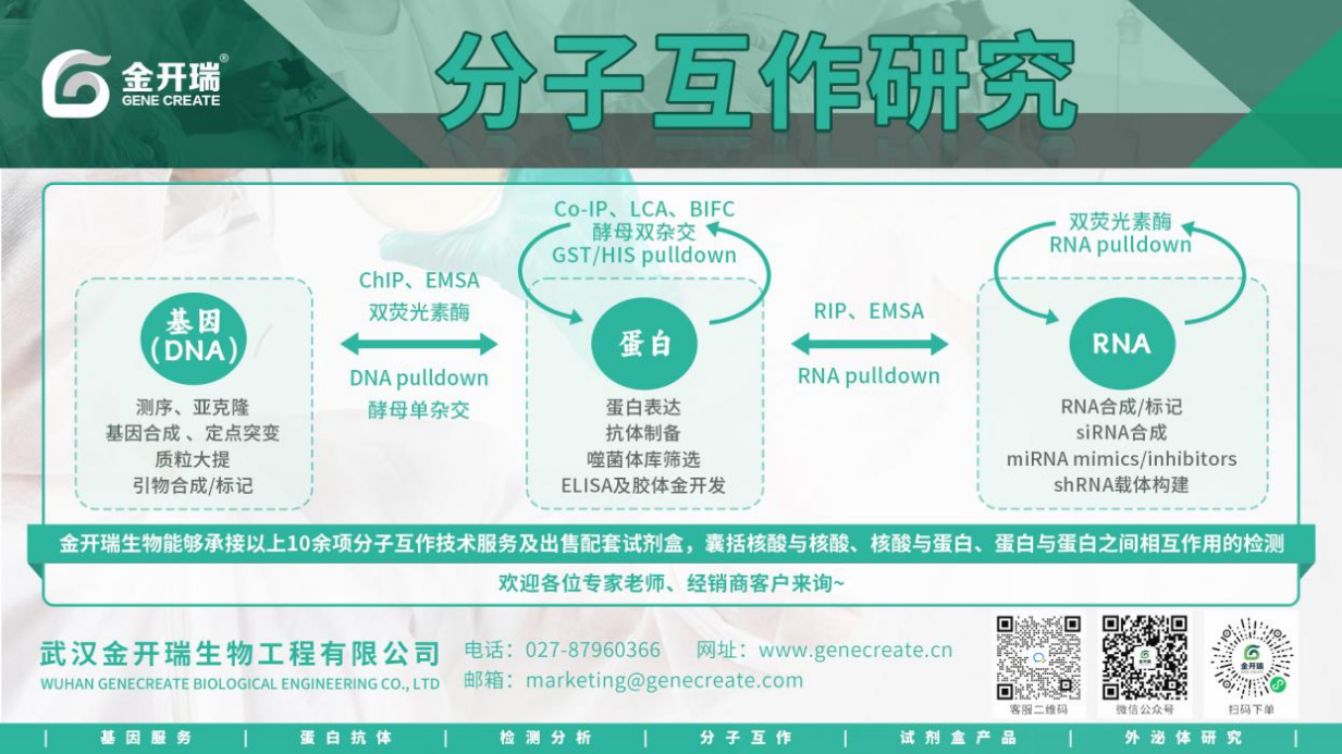 k8.com