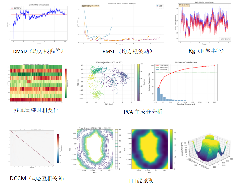 分子动力学模拟